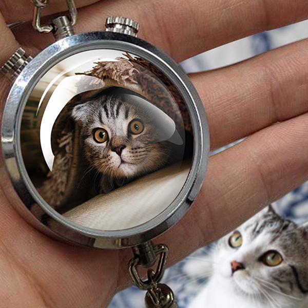 Anhänger Foto mit deinem Haustier u. Duftwasser. Dein Hund oder deine Katze auf dem Kettenanhänger im Auto als Autoparfüm. Geschenke mit Foto Haustier