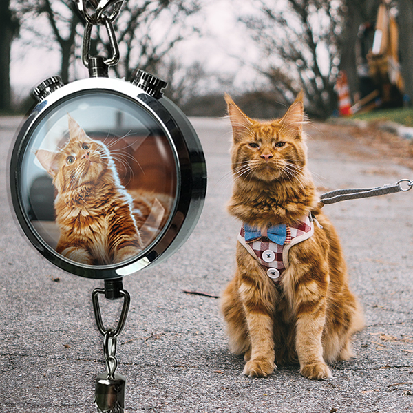 Individueller Auto Lufterfrischer mit eigenem Foto – Einzigartige Duftnote im Fahrzeug – Perfekt für Katzenmamas – Frische mit Stil im Auto!